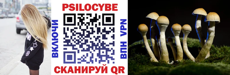 Псилоцибиновые грибы Psilocybe  сколько стоит  MEGA ссылки  Сыктывкар 